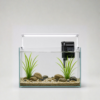 Momo Aqua Start Kit | 1 Foot Complete Aquarium Setup with RGB Light, HOB Filter & Hardscape