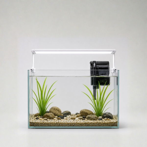 Momo Aqua Start Kit | 1 Foot Complete Aquarium Setup with RGB Light, HOB Filter & Hardscape